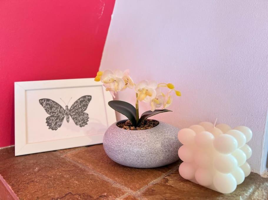 Cozy Fairytal Garden Apartment, Family Friendly, Free Parking, 15 Min To Airport Athen Exterior foto
